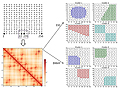 A Novel Method for Discovering Local Spatial Clusters of Genomic Regions with Functional Relationships from DNA Contact Maps