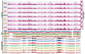 G9a Plays Distinct Roles in Maintaining DNA Methylation, Retrotransposon Silencing and Chromatin Looping