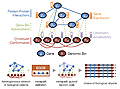 A Unified Framework for Integrative Study of Heterogeneous Gene Regulatory Mechanisms