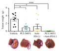  A Selective HDAC8 Inhibitor Potentiates Antitumor Immunity and Efficacy of Immune Checkpoint Blockade in Hepatocellular Carcinoma