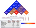 Whole Genome Sequencing Reveals Epistasis Effects within RET for Hirschsprung Disease