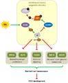 Loss of Tumor Suppressor IGFBP4 Drives Epigenetic Reprogramming in Hepatic Carcinogenesis