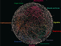 Reconstruction of Enhancer-Target Networks in 935 Samples of Human Primary Cells, Tissues and Cell Lines