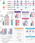 Whole-Genome Analysis of Noncoding Genetic Variations Identifies Multi-Scale Regulatory Element Perturbations Associated with Hirschsprung Disease