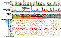 Exome and Genome Sequencing of Nasopharynx Cancer Identifies NF-kB Pathway Activating Mutations