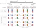 A Long-Read Sequencing Strategy with Overlapping Linkers on Adjacent Fragments (OLAF-Seq) for Targeted Resequencing and Enrichment