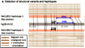 Genome-Wide Structural Variation Detection by Genome Mapping on Nanochannel Arrays