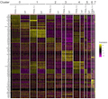 PSGL-1 Attenuates Early TCR Signaling to Suppress CD8+ T Cell Progenitor Differentiation and Elicit Terminal CD8+ T Cell Exhaustion