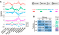 A Common Set of Distinct Features that Characterize Noncoding RNAs across Multiple Species