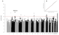 Identification of a Common Variant for Coronary Heart Disease at PDE1A Contributes to Individualized Treatment Goals for Cardiovascular Complications in Chinese Patients with Type 2 Diabetes