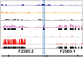 Prediction and Characterization of Non-coding RNAs in C. elegans by Integrating Conservation, Secondary Structure and High Throughput Sequencing and Array Data